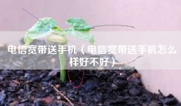 电信宽带送手机（电信宽带送手机怎么样好不好）