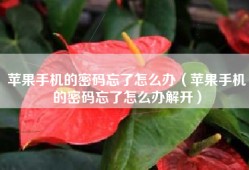 苹果手机的密码忘了怎么办（苹果手机的密码忘了怎么办解开）