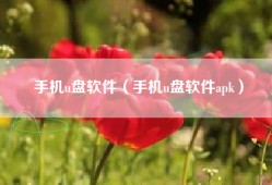 手机u盘软件（手机u盘软件apk）