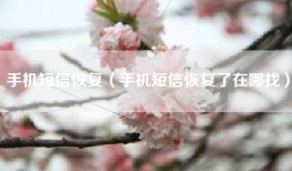 手机短信恢复（手机短信恢复了在哪找）