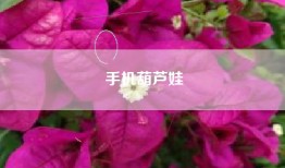 手机葫芦娃