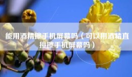 能用酒精擦手机屏幕吗（可以用酒精直接擦手机屏幕吗）