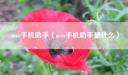 mm手机助手（mm手机助手是什么）