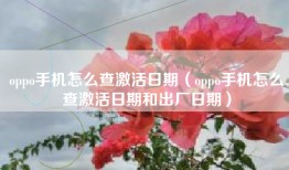 oppo手机怎么查激活日期（oppo手机怎么查激活日期和出厂日期）