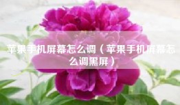 苹果手机屏幕怎么调（苹果手机屏幕怎么调黑屏）