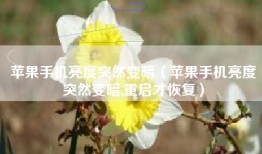 苹果手机亮度突然变暗（苹果手机亮度突然变暗,重启才恢复）