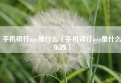 手机银行app是什么（手机银行app是什么东西）