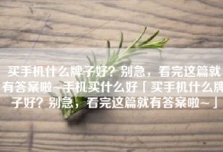 买手机什么牌子好？别急，看完这篇就有答案啦~手机买什么好「买手机什么牌子好？别急，看完这篇就有答案啦~」