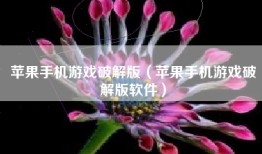 苹果手机游戏破解版（苹果手机游戏破解版软件）