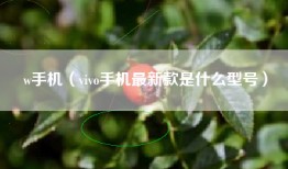 w手机（vivo手机最新款是什么型号）