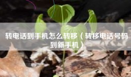 转电话到手机怎么转移（转移电话号码到新手机）