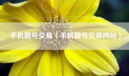 手机靓号交易（手机靓号交易网站）